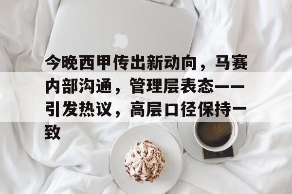 今晚西甲传出新动向，马赛内部沟通，管理层表态——引发热议，高层口径保持一致的简单介绍-Kaiyun Sports